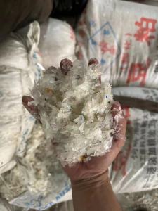 长期出售PP透明丙粉碎料，每2天够一车