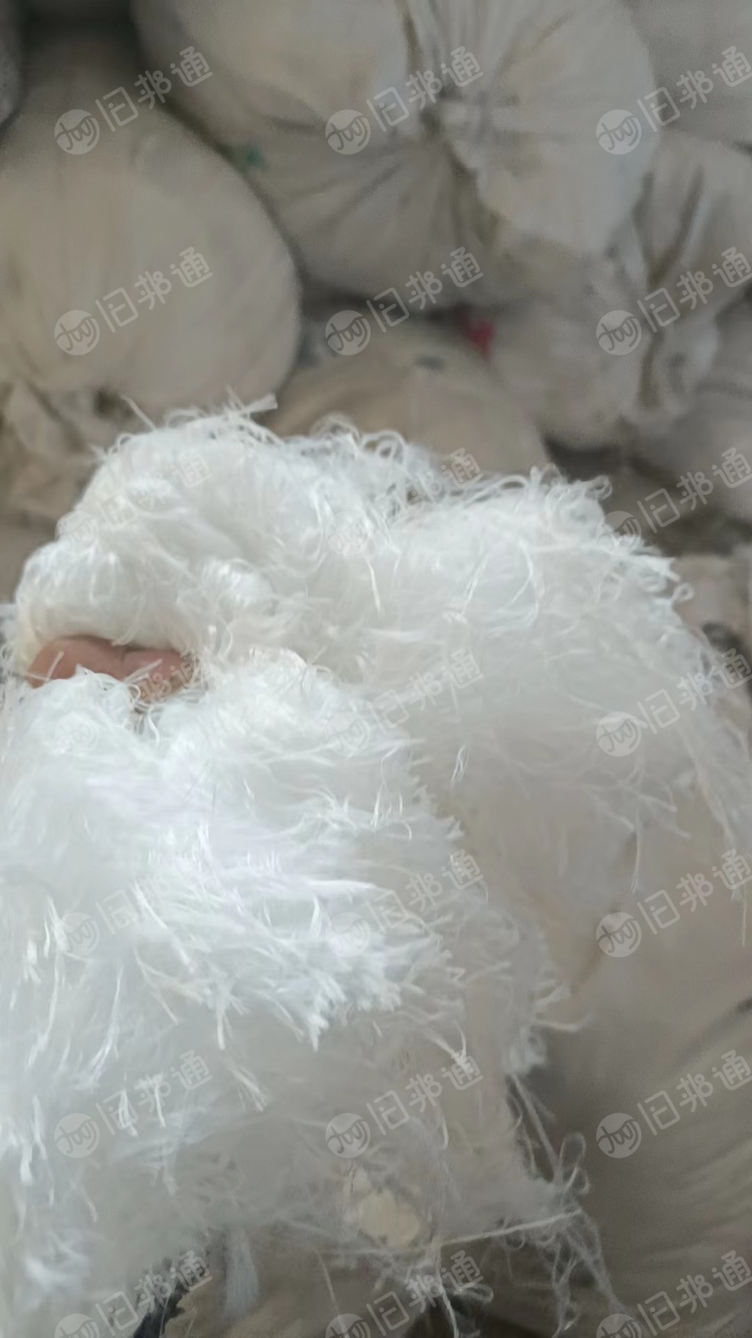 涤纶低弹丝和氨纶包裹丝长期供应