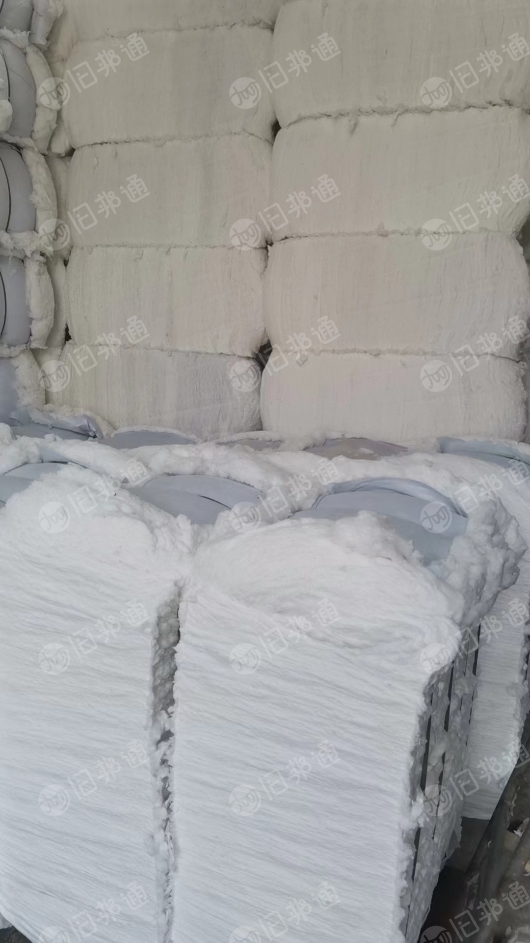 白色开花棉,梳理机梳理过的,大量出售