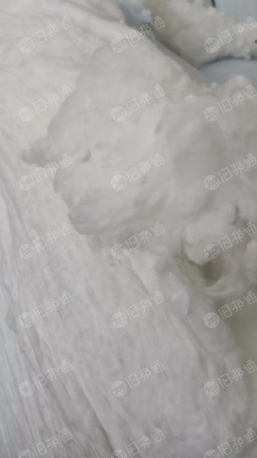 白色开花棉,梳理机梳理过的,大量出售