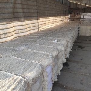 开松好的古棉，大量出售