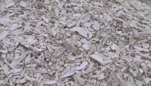 出售pvc白管破碎料，现货14吨