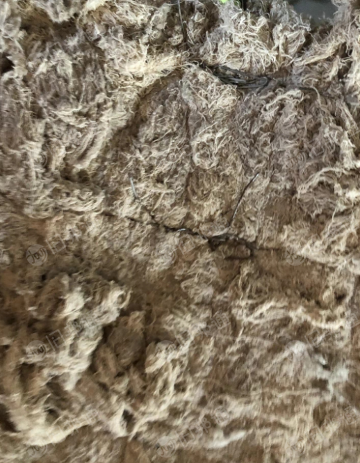 纯棉纱头,无荧光10吨低价出售