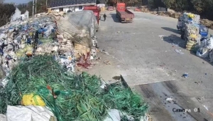 长期出售PET打包带毛料，每月20吨左右