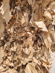 长期出售巴西短纤维木浆牛皮纸