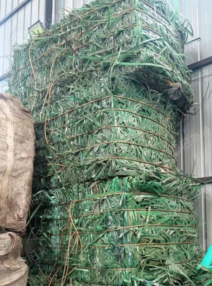 出售PET打包带废料