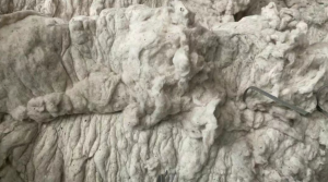 气流纺车肚200吨低价处理