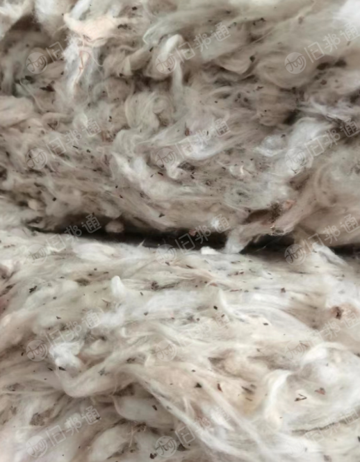 巴西皮棉大量现货,优质纺纱原料