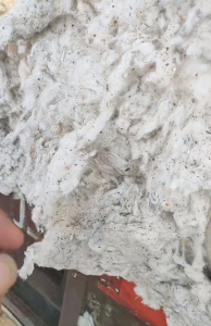 气流纺下来的优质车肚长期供应