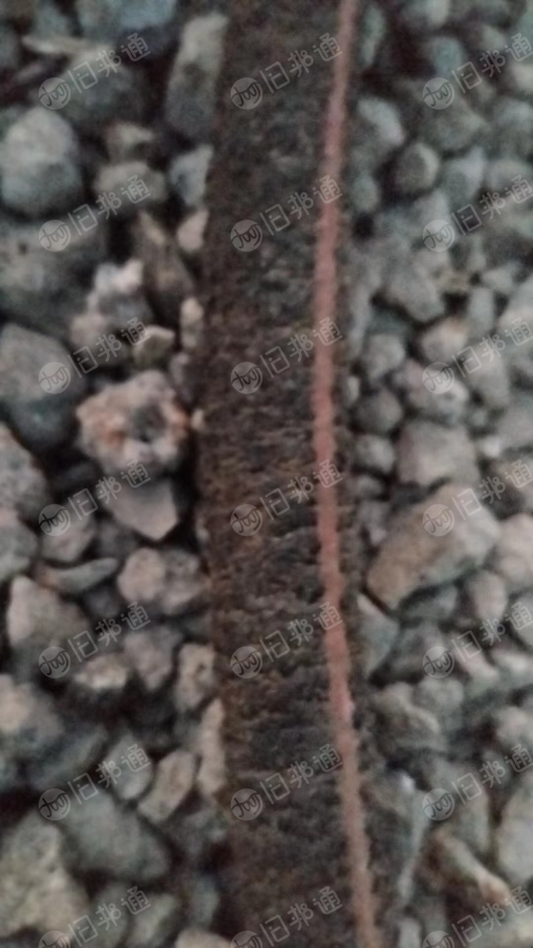 出售废橡胶,养殖池增氧的纳米爆气管,每天一吨