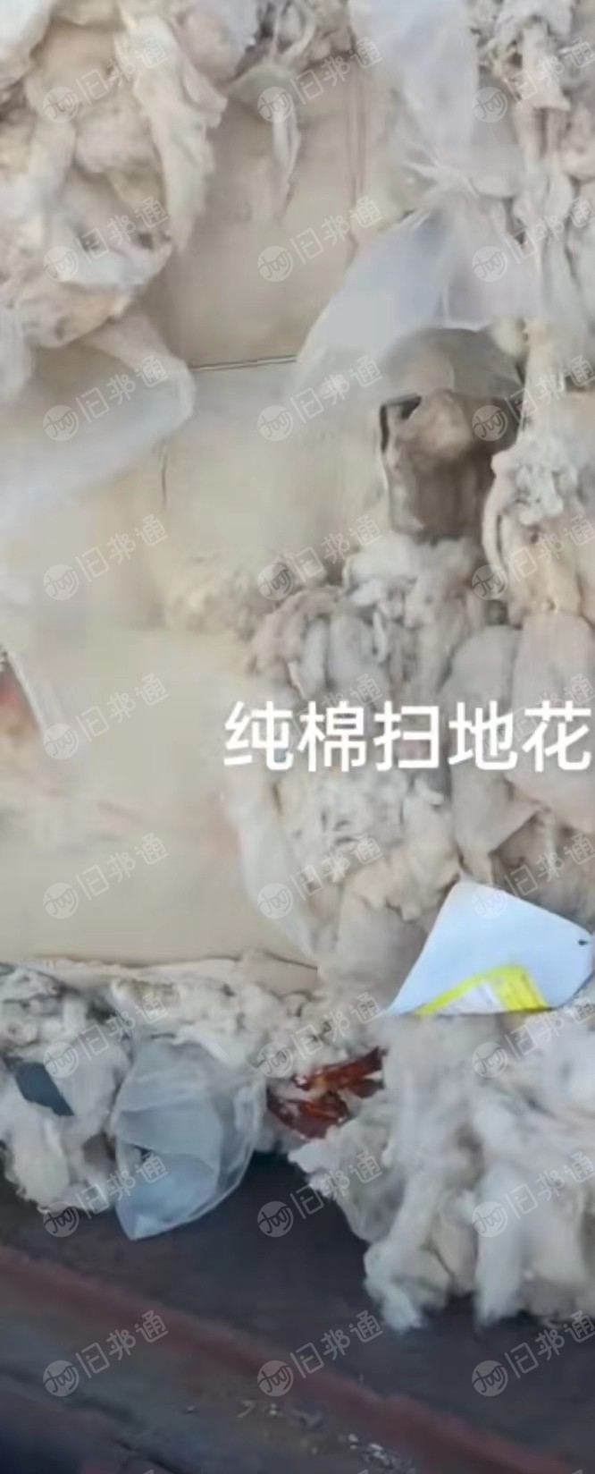 纯棉车肚,纯棉下脚料,大量出售