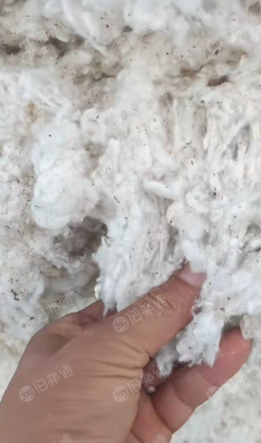 纯棉车肚,纯棉下脚料,大量出售