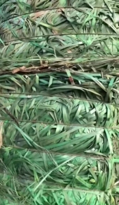 出售PET打包带废料