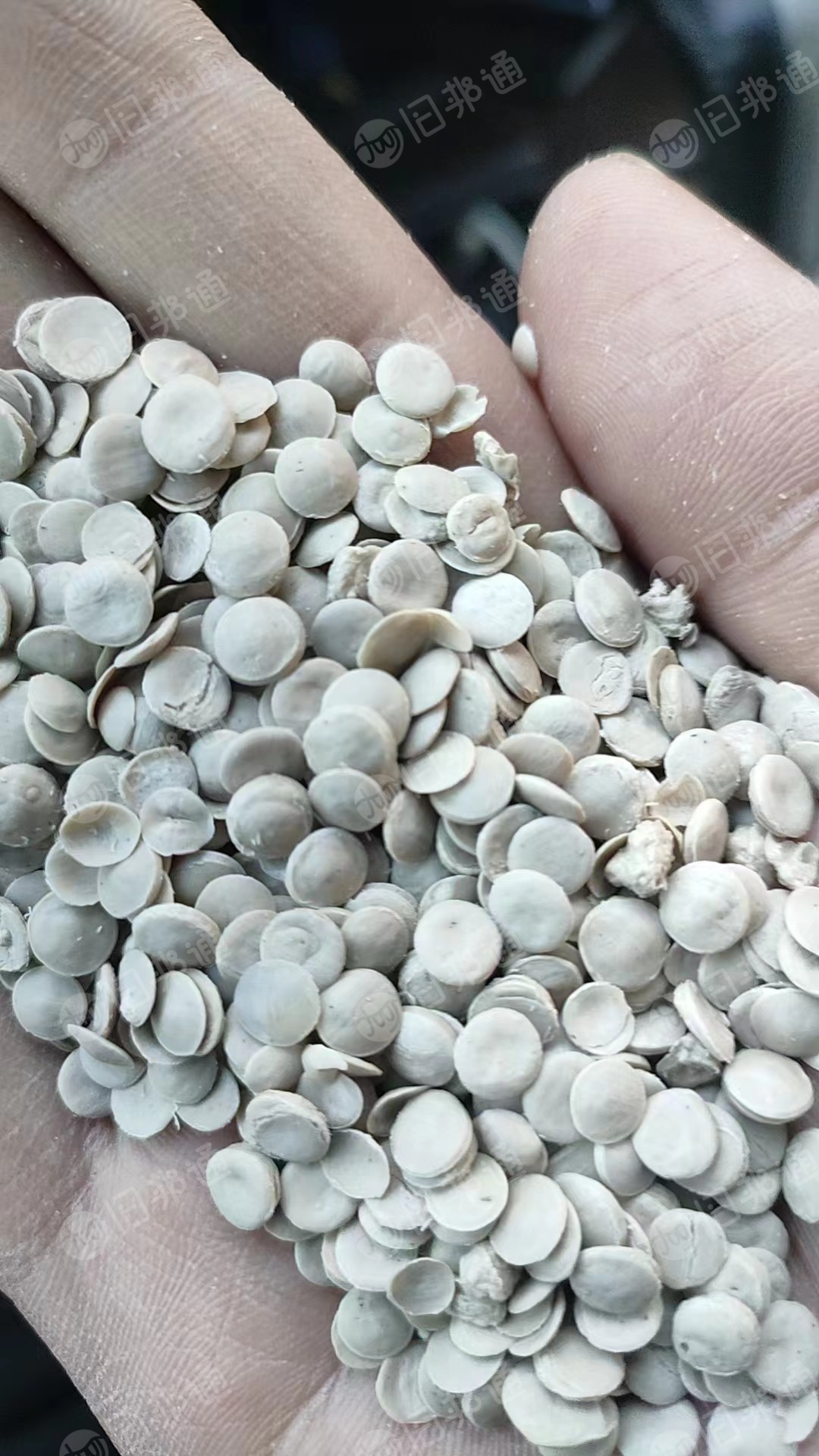 pe低压油膜颗粒,无油颗粒长期现货