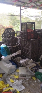 出售水果筐毛料，现货20来吨