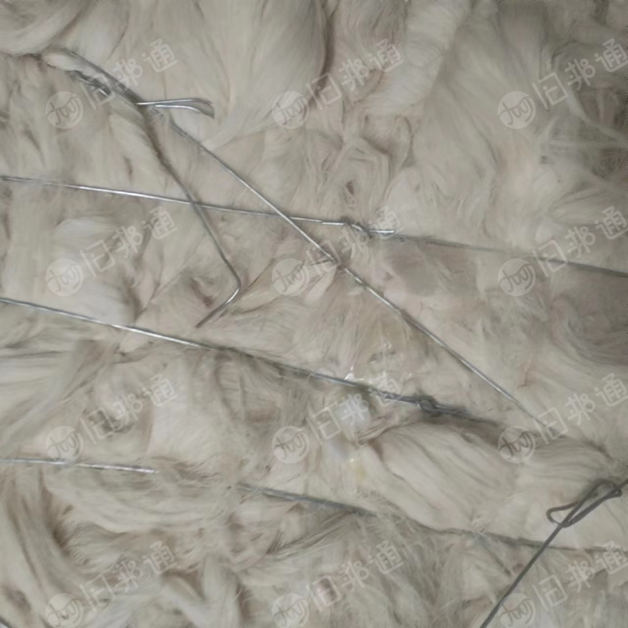 纯棉精纺浆纱16吨左右出售