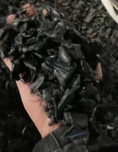 常年出售PE管道破碎料