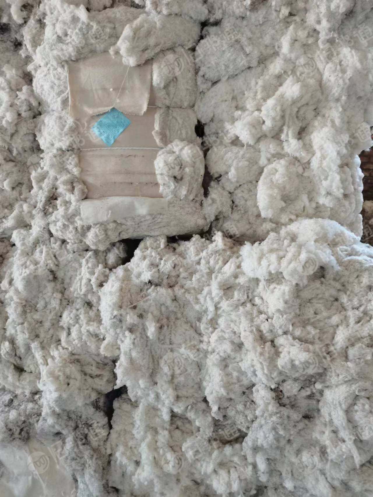 环纺纯棉车肚,扫地花等,大量出售
