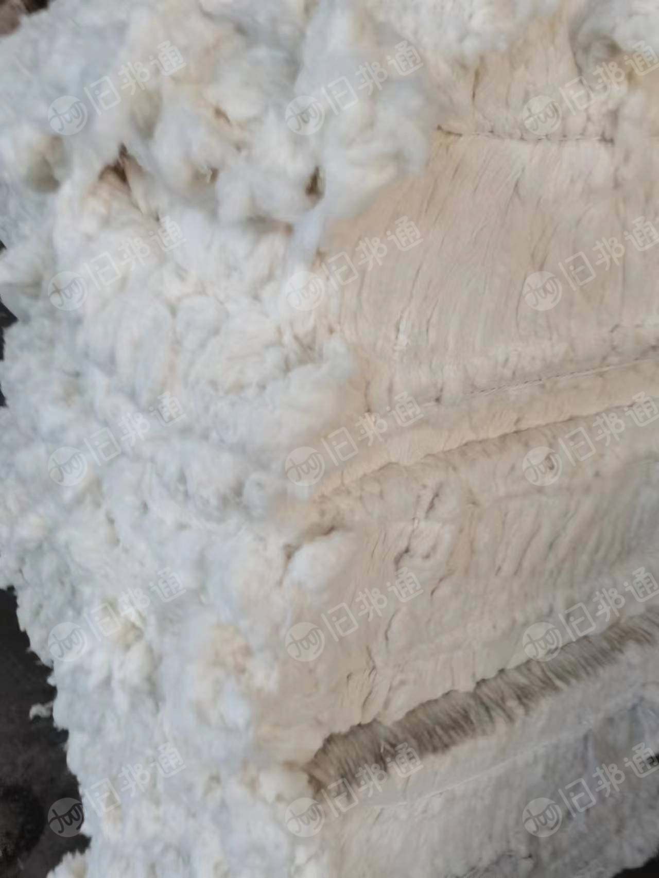 环纺纯棉车肚,扫地花等,大量出售