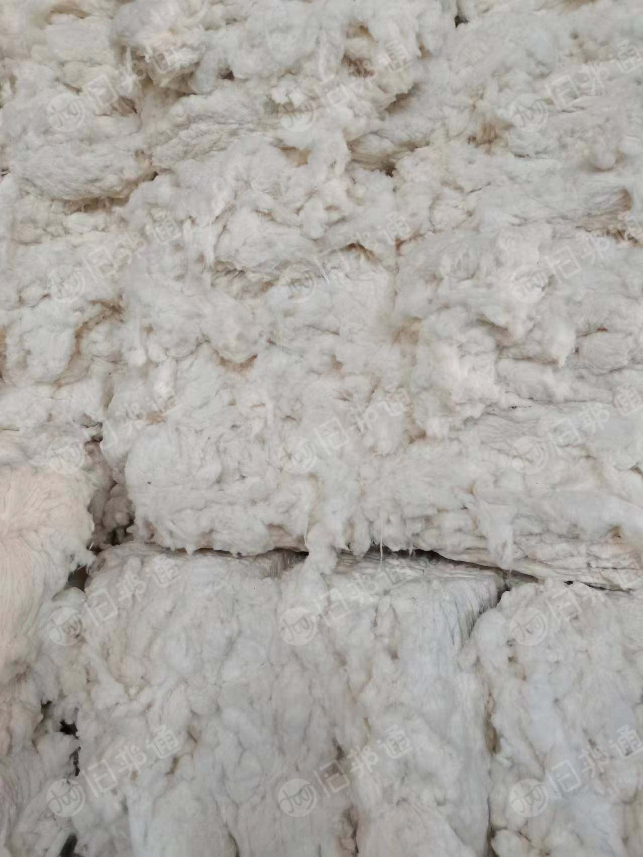 环纺纯棉车肚,扫地花等,大量出售