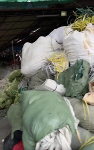 常年出售PP打包带废料