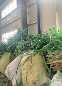 常年出售PET打包带毛料