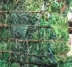 长期出售PET打包带毛料