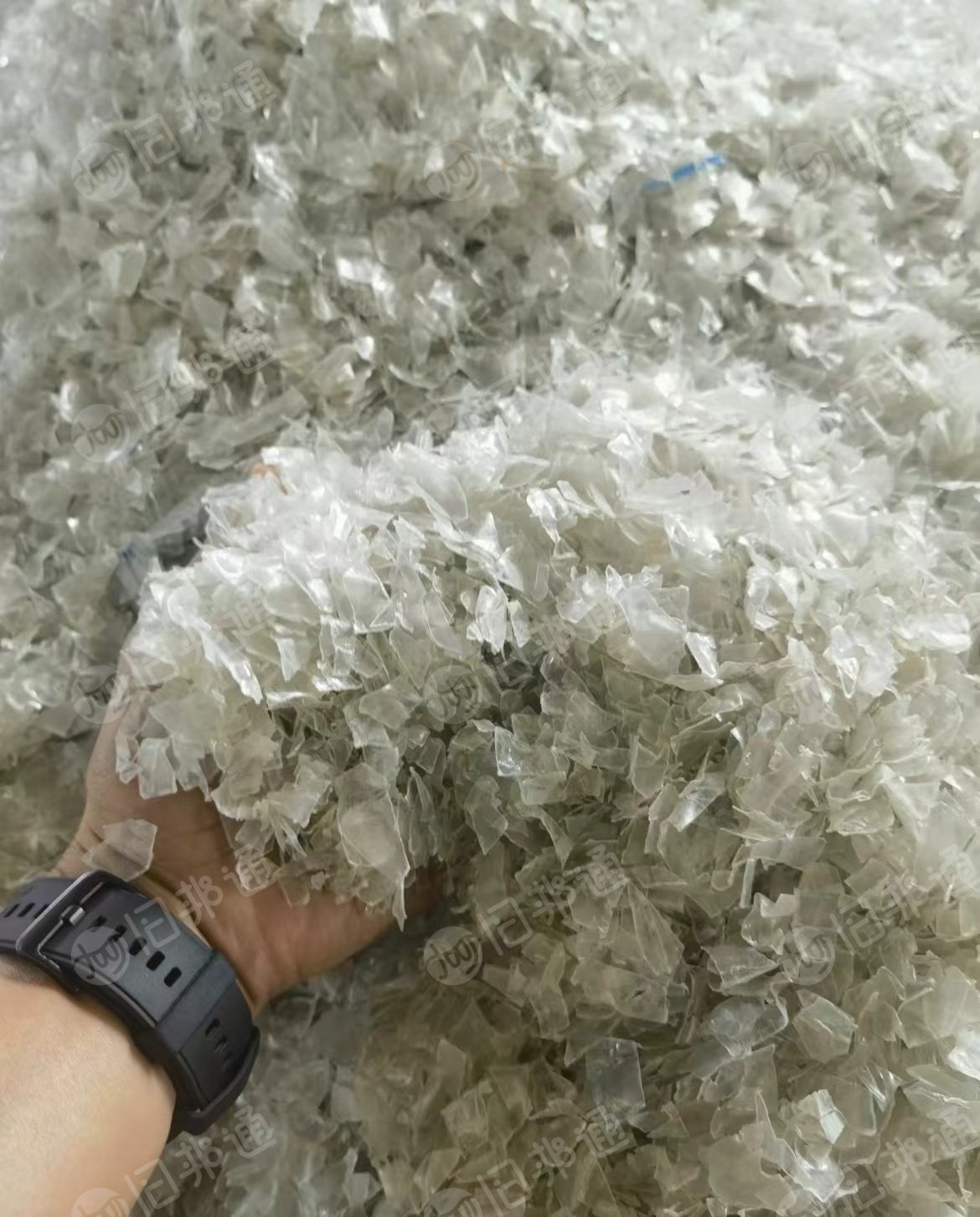 蓝白瓶片,标签瓶盖筛过的;另出售杂瓶片,绿瓶片,可根据客户需求过脱标筛选,长期出售