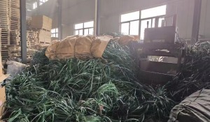 出售pet塑钢打包带，现货一车，没打包的