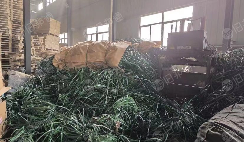 出售pet塑钢打包带,现货一车,没打包的