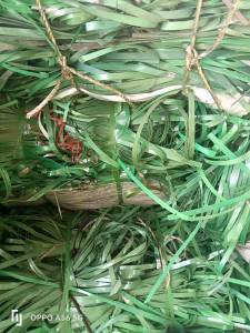 长期出售PET打包带毛料