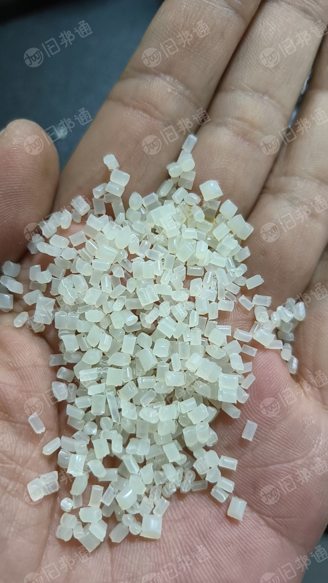 PA尼龙单6颗粒长期出售,80-120目,月供100多吨