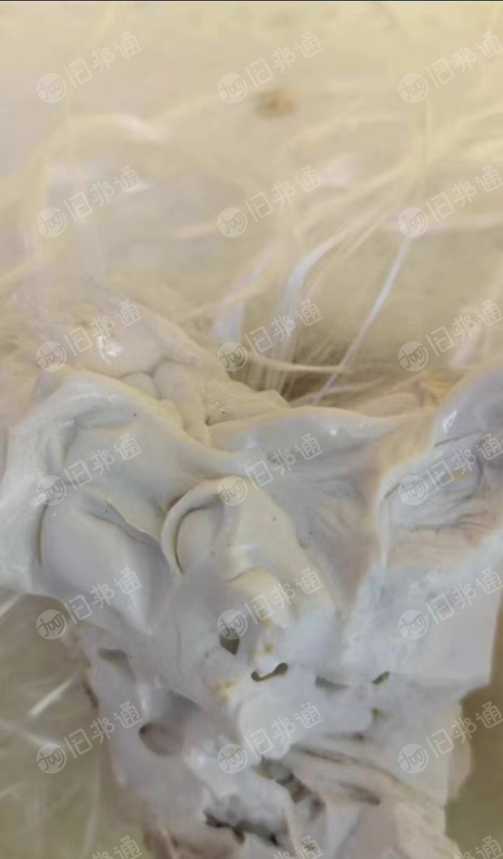 长期出售PET机头料,PET块料