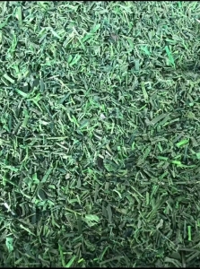 出售PET打包带破碎料