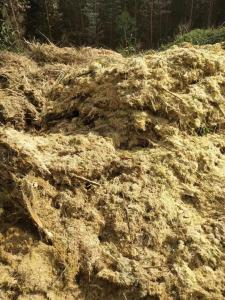 长期出售竹屑，一个月200吨左右