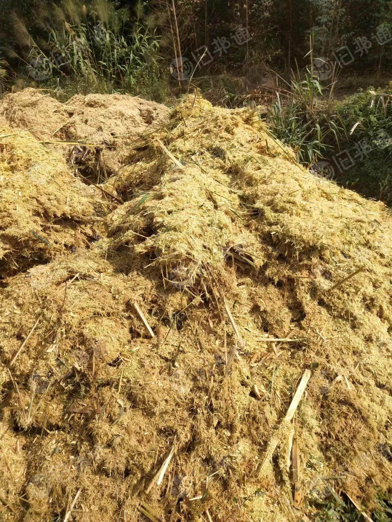 长期出售竹屑,一个月200吨左右