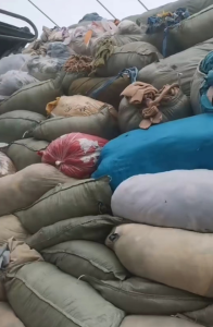 长期供应涤棉开花料三色料，月供百吨！