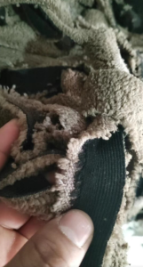 氨纶拉丝料长期供应，现货够车