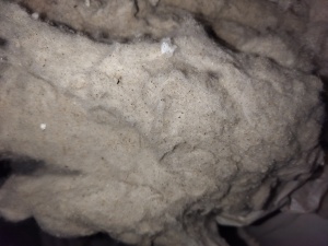 纺纱厂下脚料，环纺40下来的车肚，大量出售