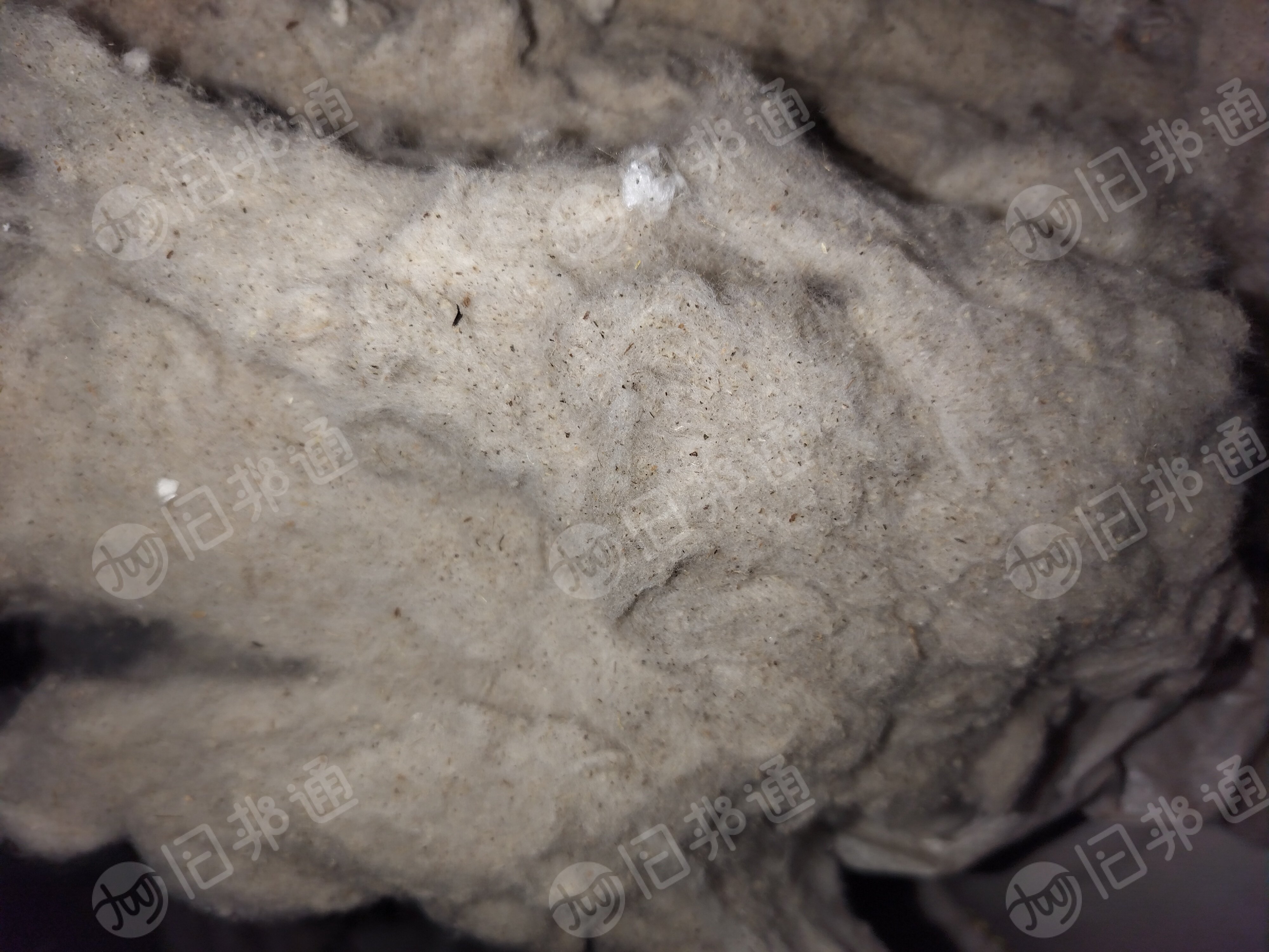 纺纱厂下脚料,环纺40下来的车肚,大量出售