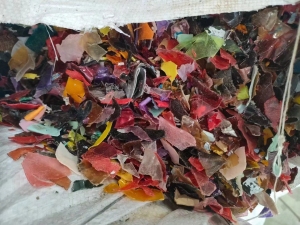 本厂高价回收聚酯纯绿片，杂色片，月需几百吨。做塑钢带用。