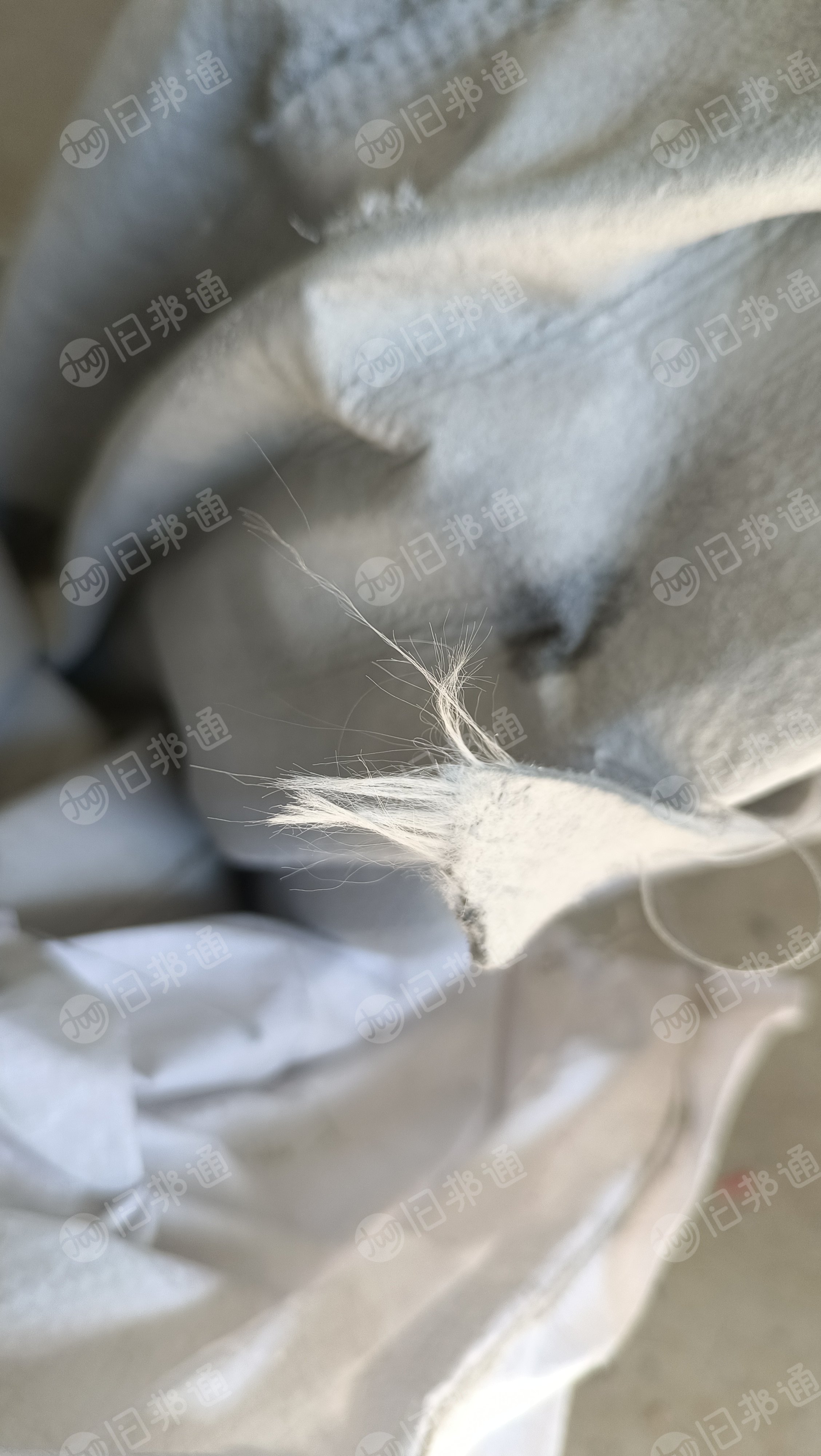 过滤布,防尘袋,清洗干净出售