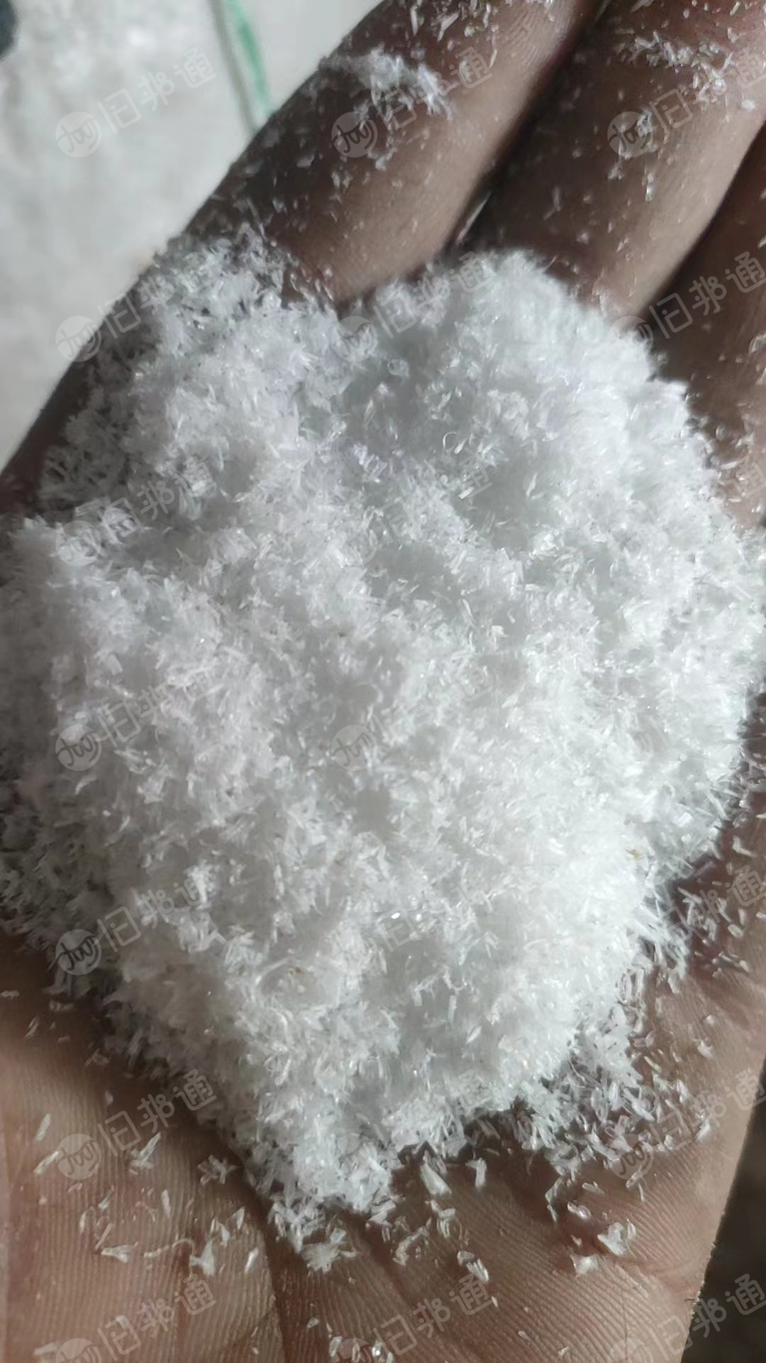 GPPS透苯板材锯末出售,PE含百分之2,现货9.6一车