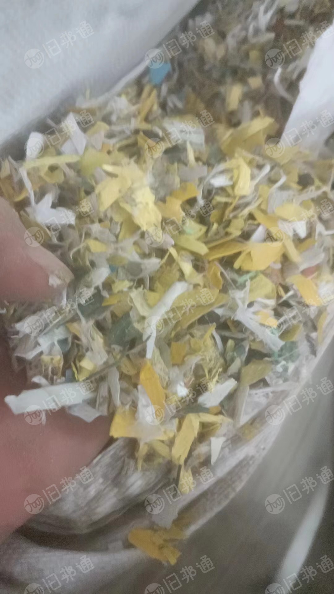 PP沉水打包带破碎料常年大量出售,月供300多吨 ,干粉的