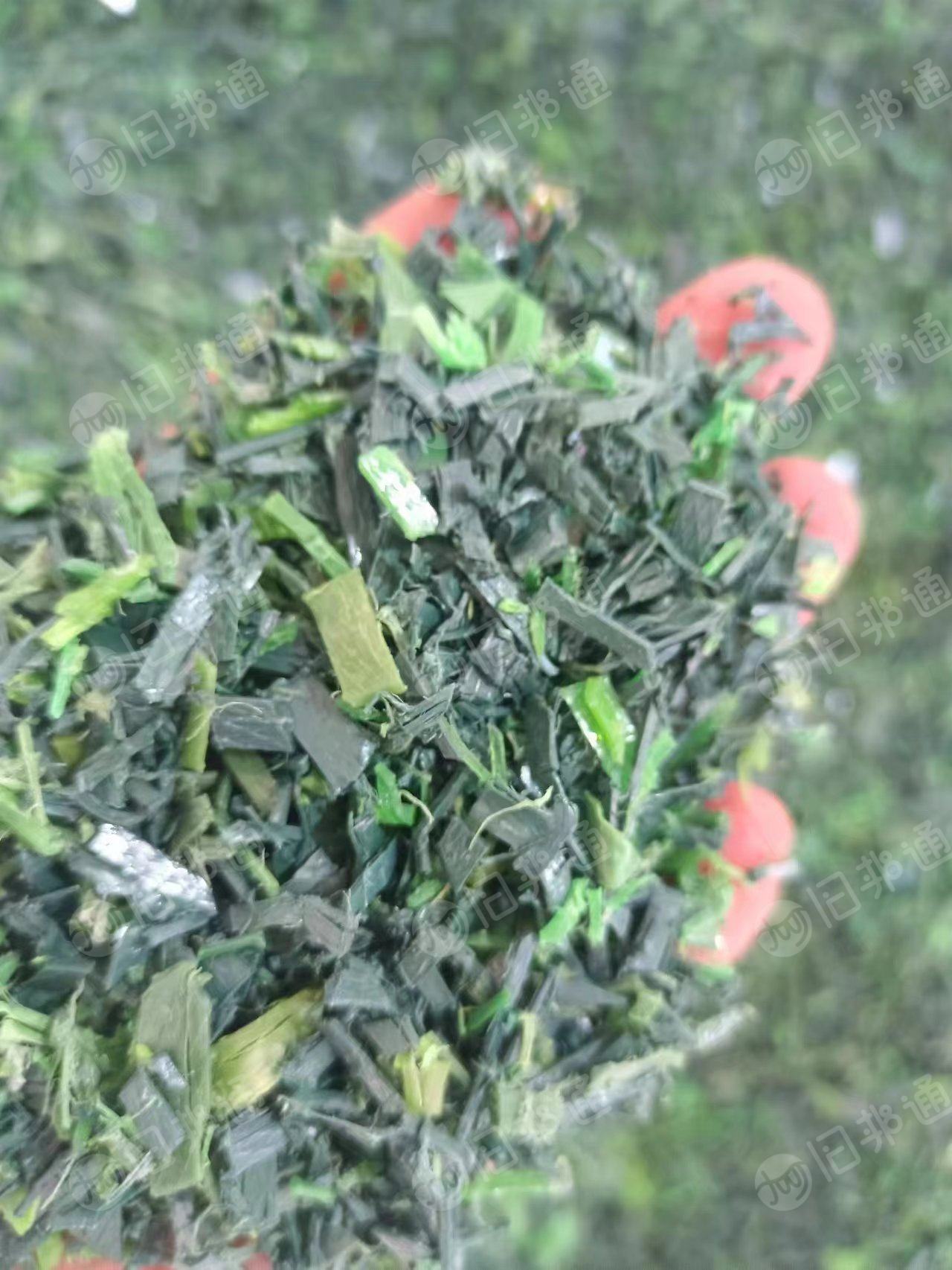 干粉PET聚酯打包带粉碎料出售,月供100多吨