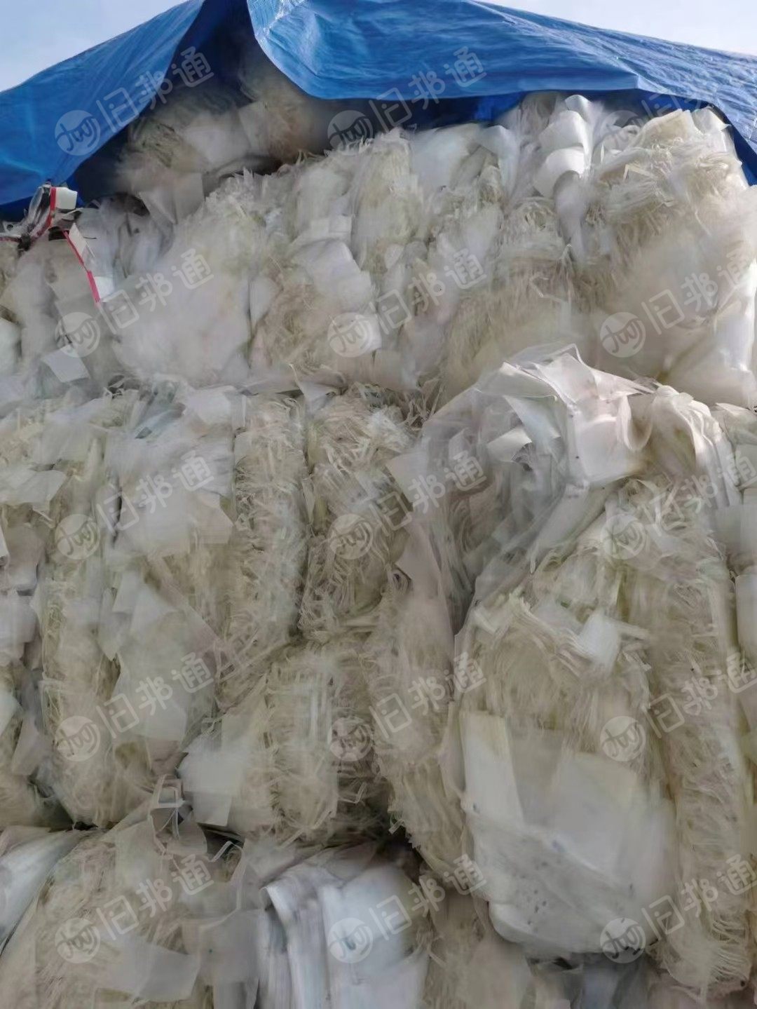 大量出售pp丙膜料,新料边角料