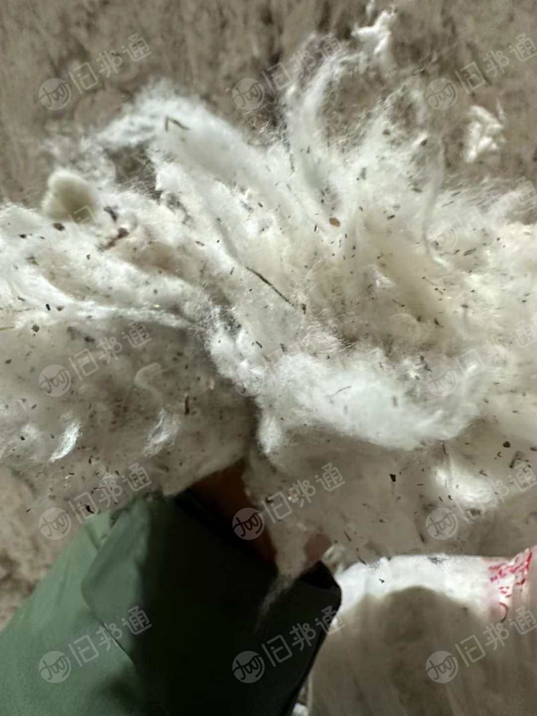 出售新疆棉,现货25吨