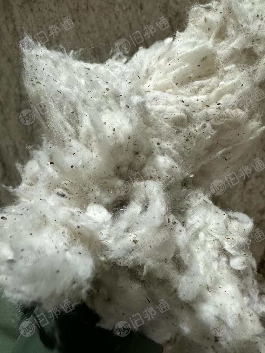 出售新疆棉，现货25吨