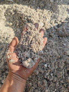 PP沫子，主要是日杂和工程一起，造粒用，一手货源大量求购