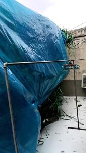 长期出售PET打包带毛料